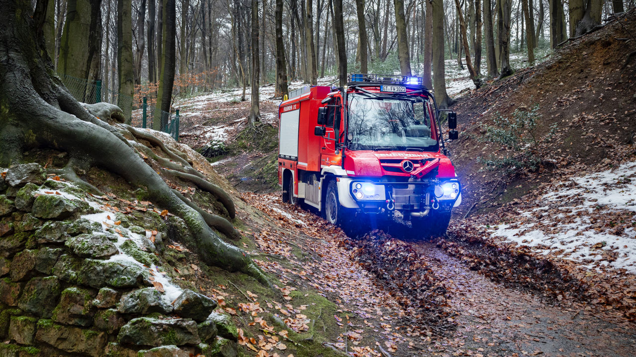The image shows a red off-road Unimog on a muddy forest track with its blue lights switched on. The ground is covered with leaves and some snow. The thick roots of a tree protrude from the slope next to the path, which is shored up by a stone wall.
